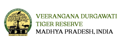 Veerangana Durgavati Tiger Reserve